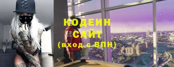 индика Кодинск