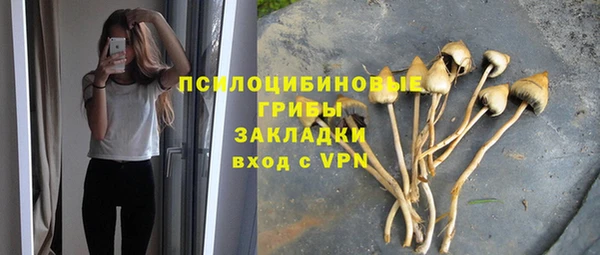 синтетический гашиш Алексеевка