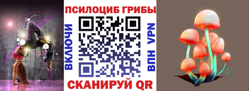 Псилоцибиновые грибы Cubensis  закладки  Каневская 
